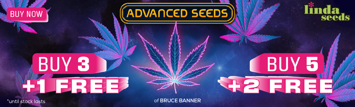 ADVANCED SEEDS FREE SEEDS PROMOTION ADVANCED SEEDS FREE SEEDS PROMOTION