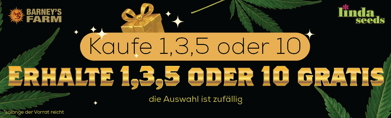 BARNEYS FARM GRATIS SAMEN AKTION