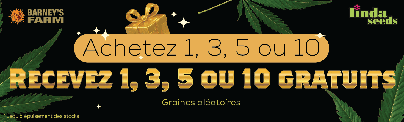BARNEYS FARM PROMOTION DE GRAINES GRATUITES BARNEYS FARM PROMOTION DE GRAINES GRATUITES