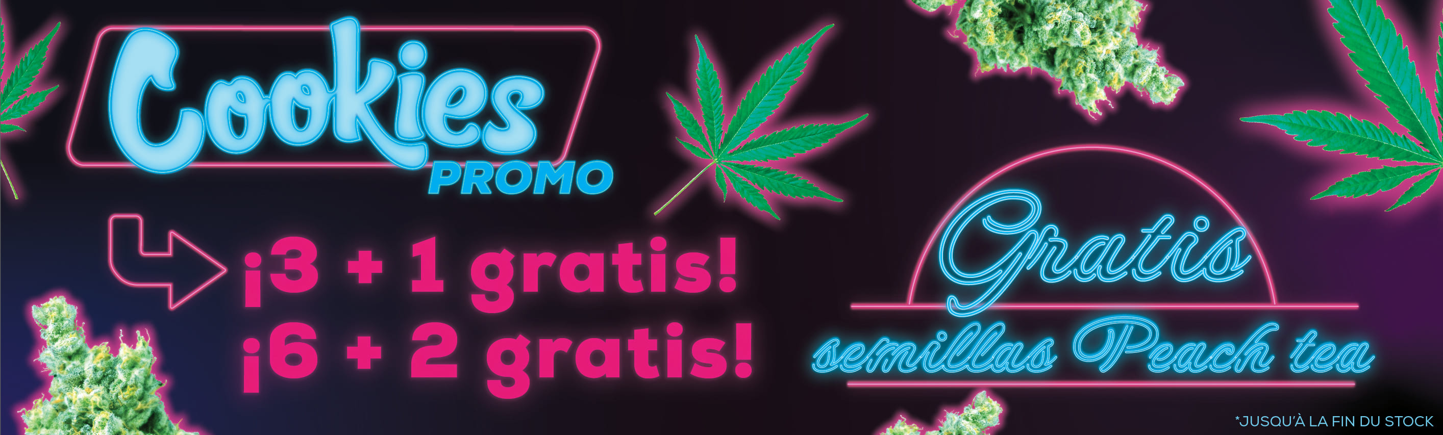 COOKIES SEEDS PROMOCIÓN DE SEMILLAS GRATIS