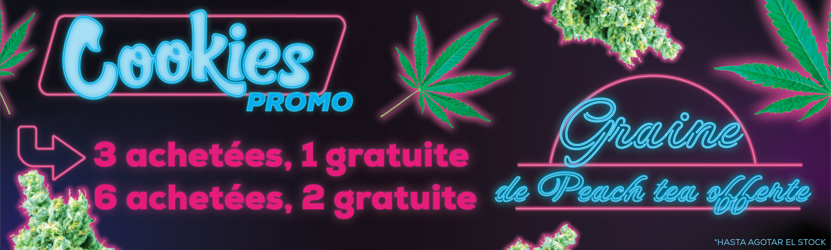 COOKIES SEEDBANK PROMOTION DE GRAINES GRATUITES