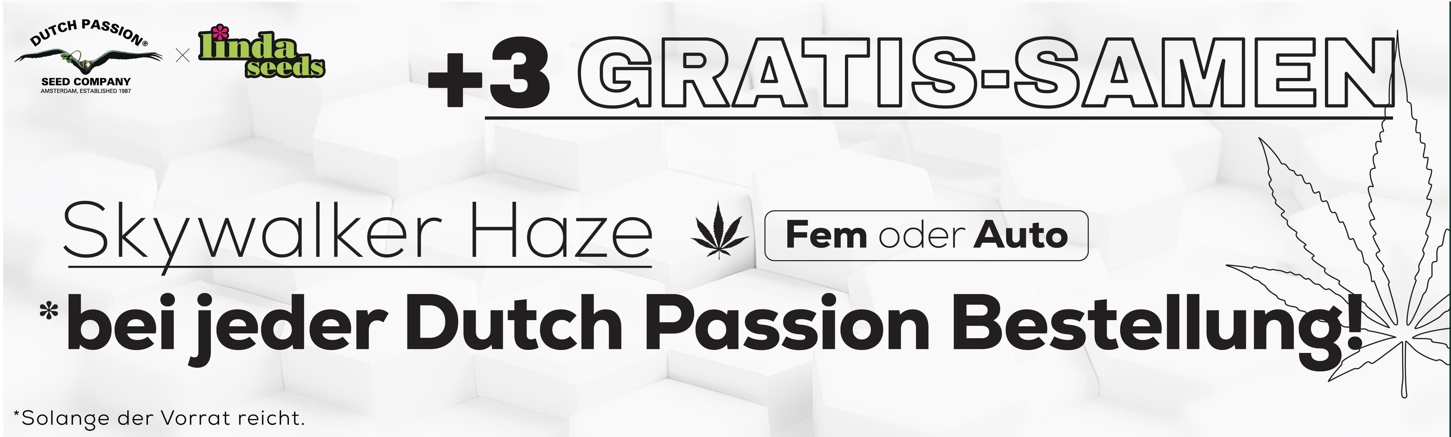 DUTCH PASSION GRATIS SAMEN AKTION
