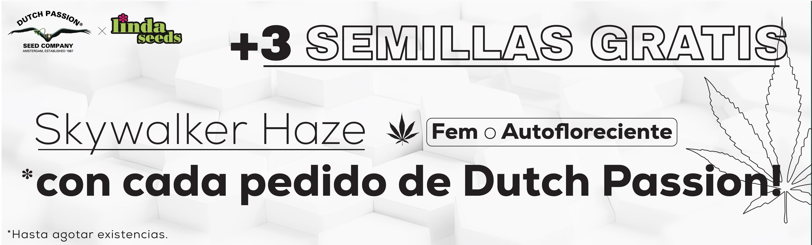DUTCH PASSION PROMOCIÓN DE SEMILLAS GRATIS