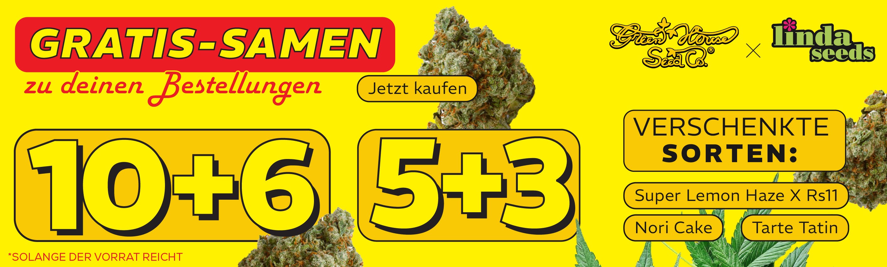 GREEN HOUSE SEED GRATIS SAMEN AKTION