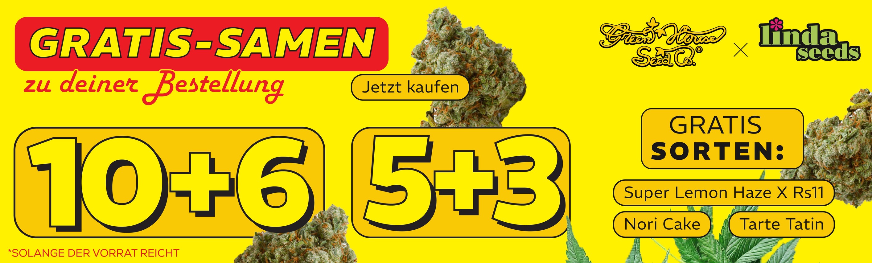 GREEN HOUSE SEED GRATIS SAMEN AKTION