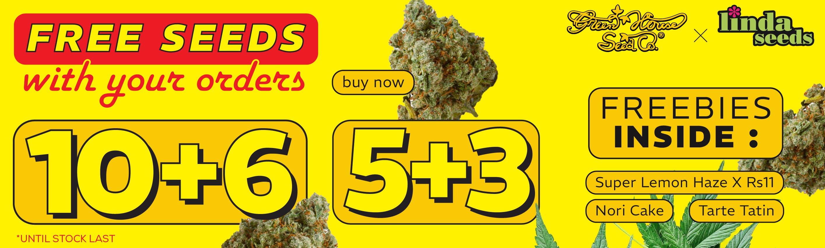 GREEN HOUSE SEED PROMOTION