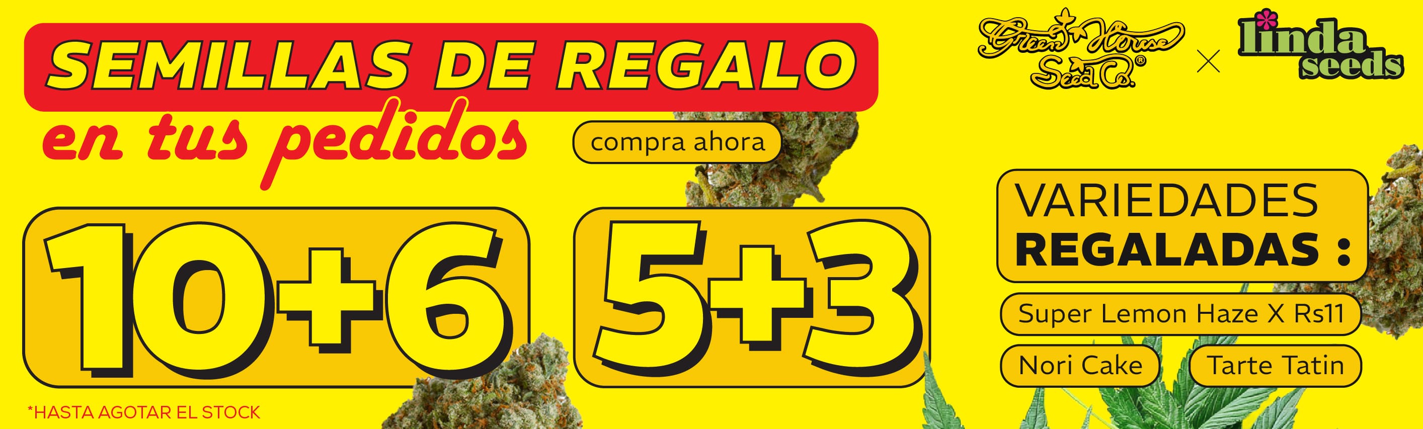 GREEN HOUSE SEED PROMOCIÓN DE SEMILLAS GRATIS