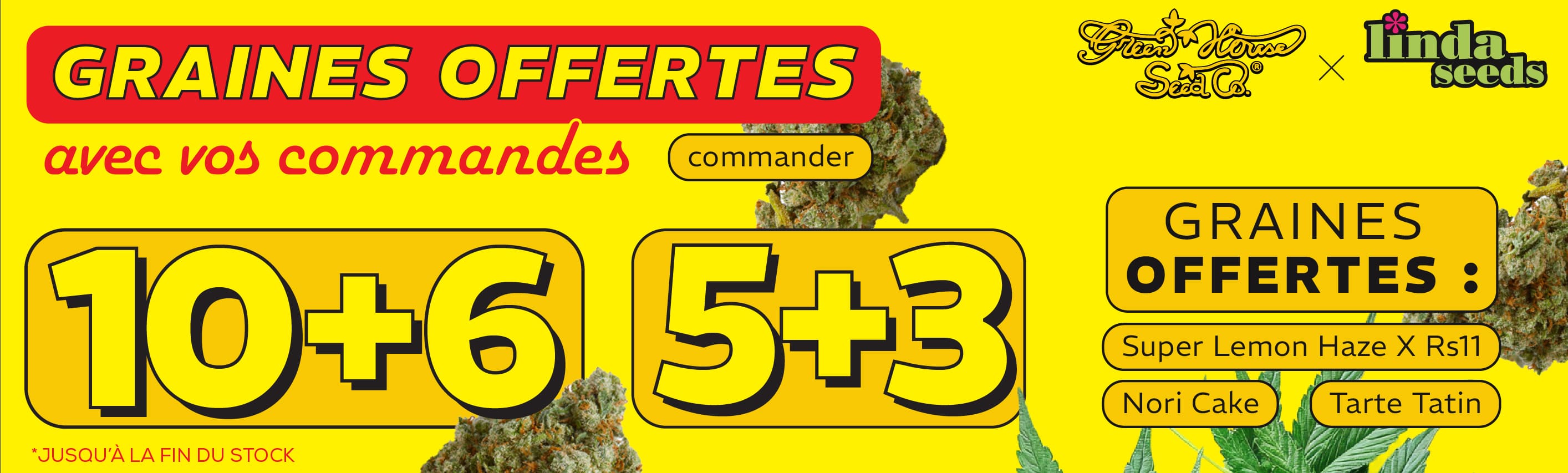 GREEN HOUSE SEED PROMOTION DE GRAINES GRATUITES