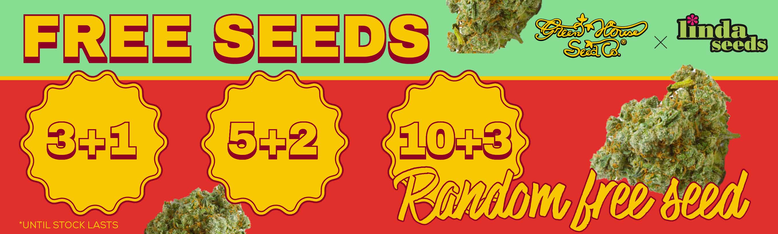 GREEN HOUSE SEEDS FREE SEEDS PROMOTION