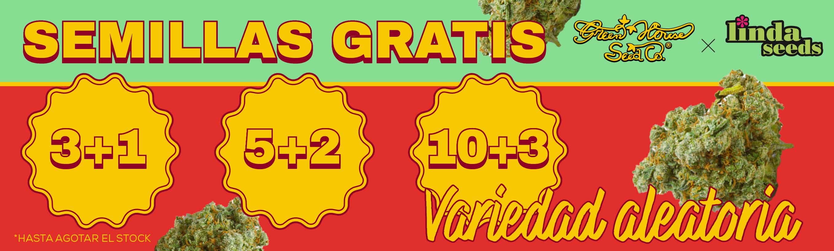 GREEN HOUSE SEEDS PROMOCIÓN DE SEMILLAS GRATIS