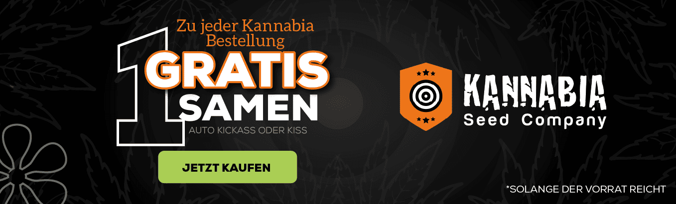 KANNABIA SEEDS PROMOCIÓN DE SEMILLAS GRATIS
