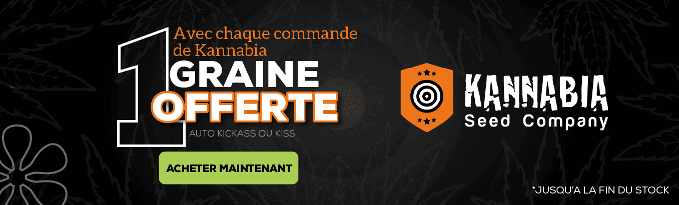 KANNABIA SEEDS PROMOTION DE GRAINES GRATUITES