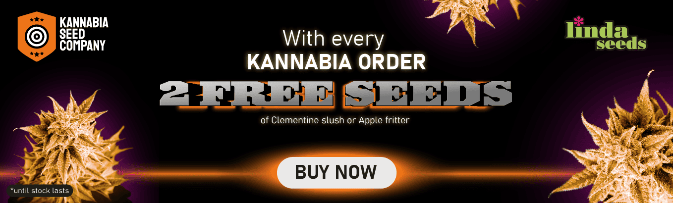 KANNABIA SEEDS FREE SEEDS PROMOTION
