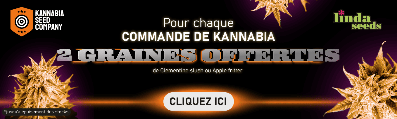 KANNABIA SEEDS PROMOTION DE GRAINES GRATUITES