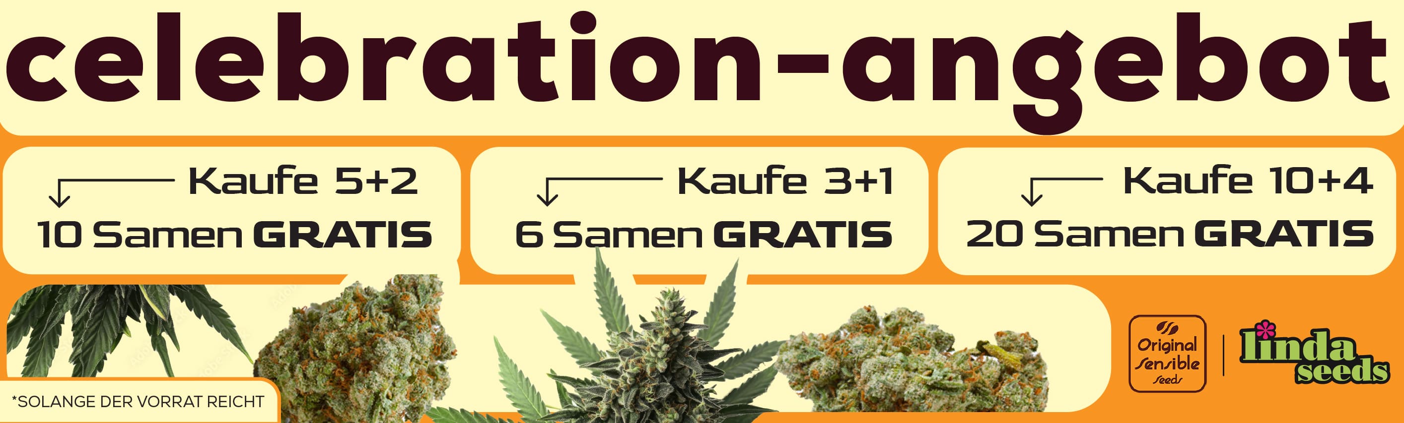 ORIGINAL SENSIBLE GRATIS SAMEN AKTION