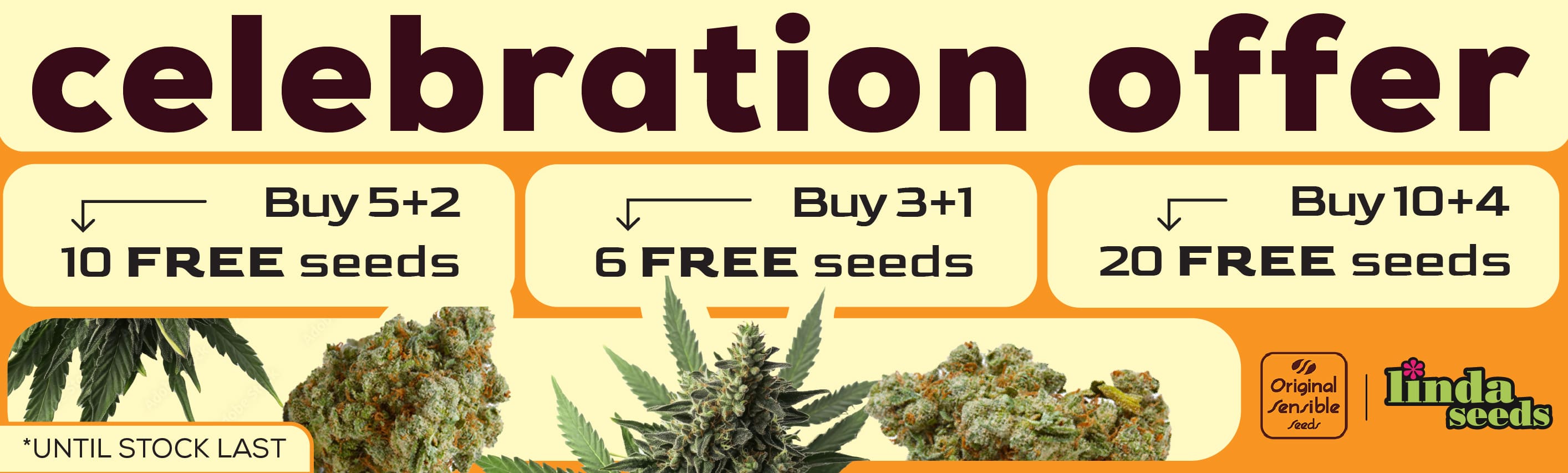 ORIGINAL SENSIBLE FREE SEEDS PROMOTION