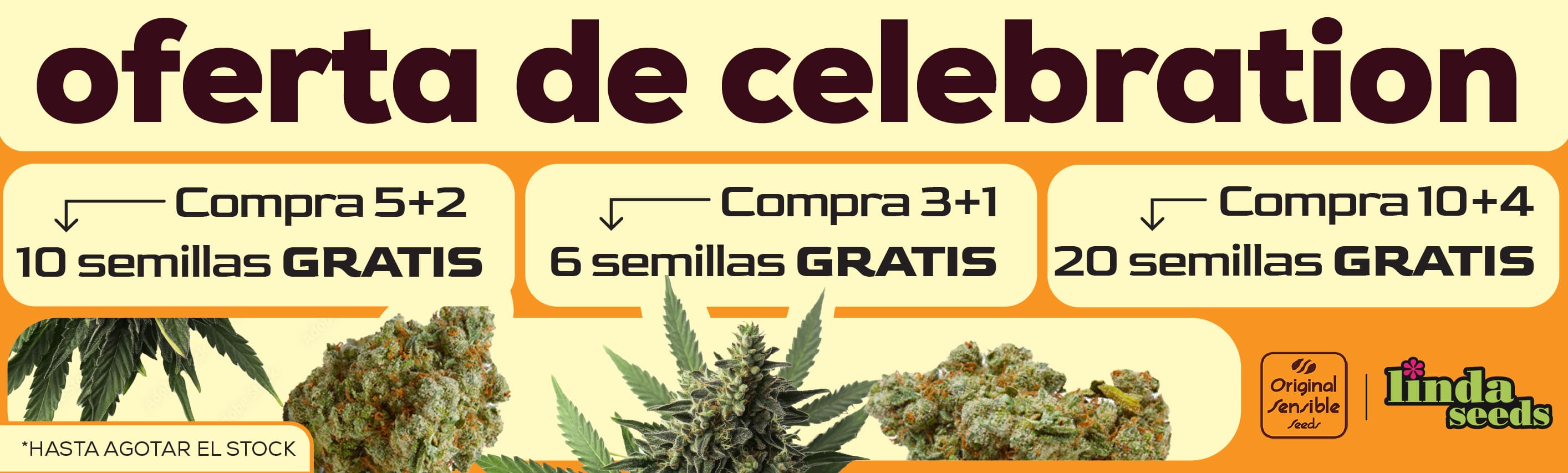 ORIGINAL SENSIBLE PROMOCIÓN DE SEMILLAS GRATIS