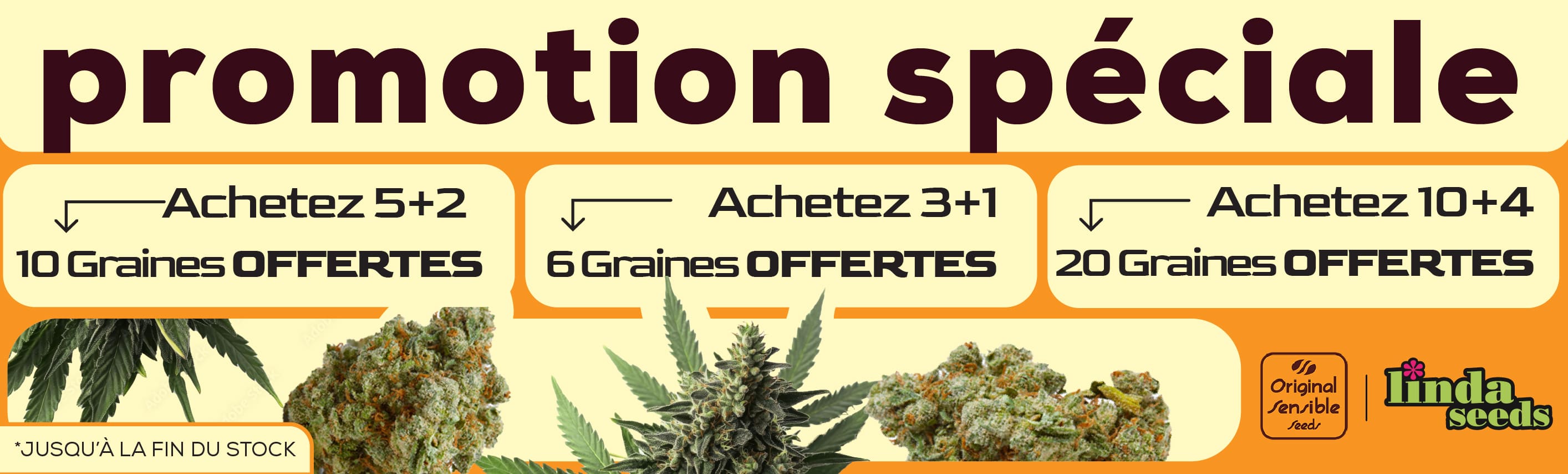 ORINAL SENSIBLE PROMOTION DE GRAINES GRATUITES