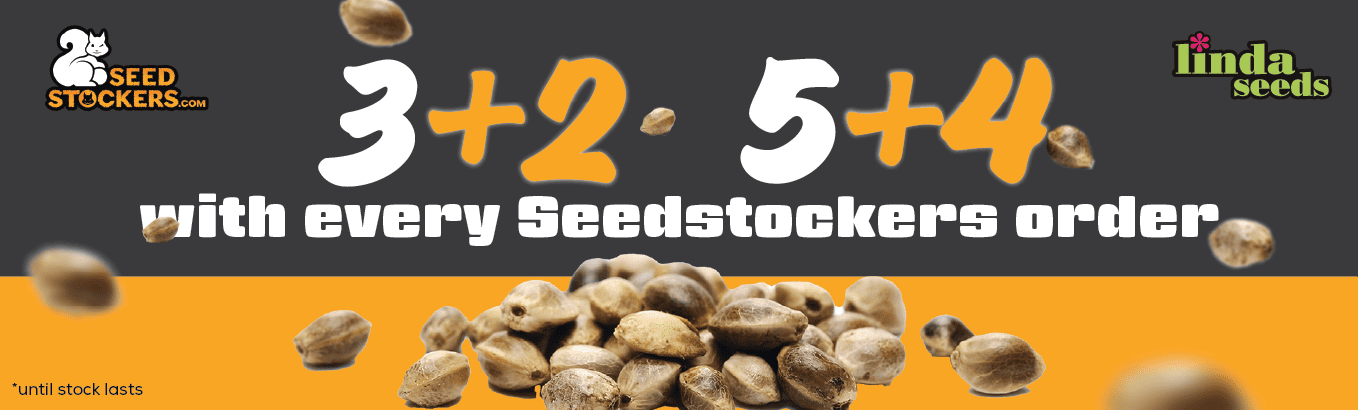SEED STOCKERS FREE SEEDS PROMOTION