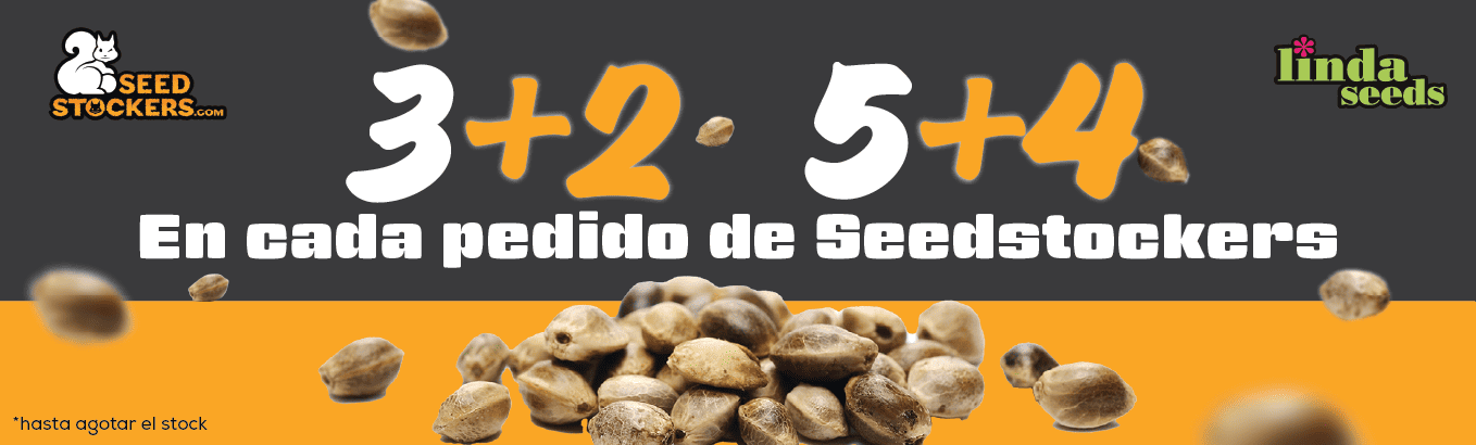 SEED STOCKERS PROMOCIÓN DE SEMILLAS GRATIS