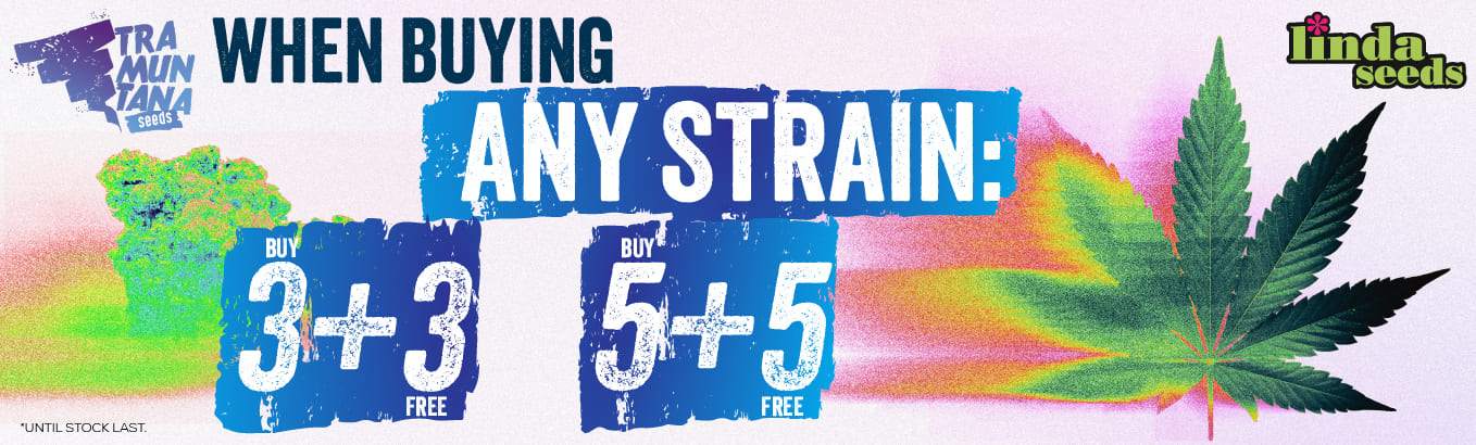 TRAMUNTANA FREE SEEDS PROMOTION
