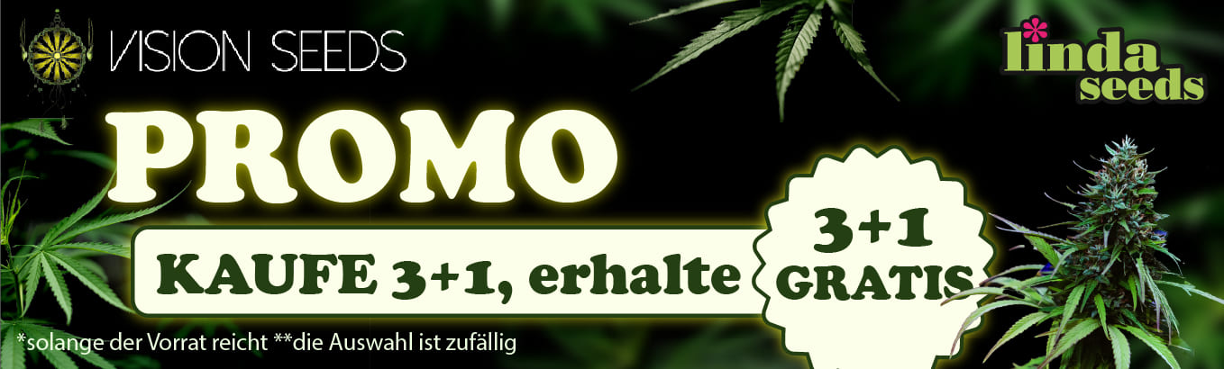 VISION SEEDS GRATIS SAMEN AKTION
