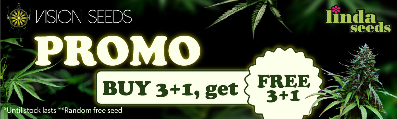 VISION SEEDS FREE SEEDS PROMOTION
