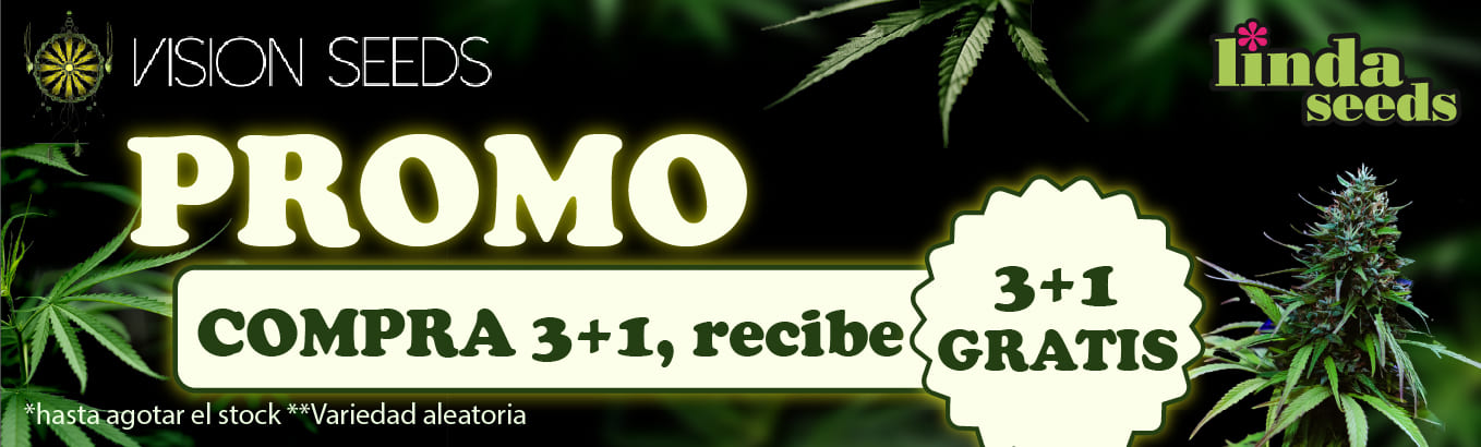 VISION SEEDS  PROMOCIÓN DE SEMILLAS GRATIS