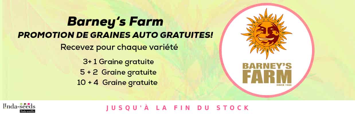 BARNEYS FARM PROMOTION DE GRAINES GRATUITES