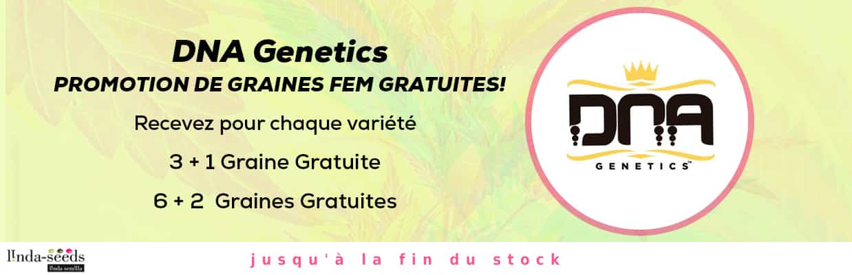 DNA GENETICS PROMOTION DE GRAINES GRATUITES