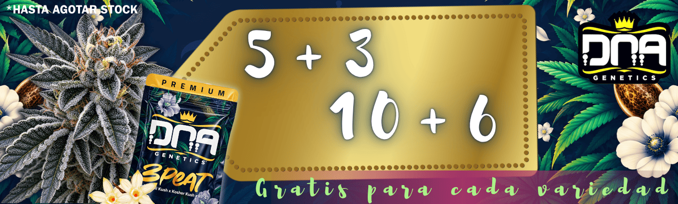 5+3 10+6 DNA GENETICS PROMOCIÓN DE SEMILLAS GRATIS