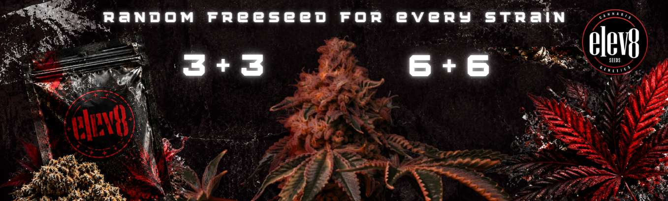 ELEV8 SEEDS FREE SEEDS PROMOTION ELEV8 SEEDS FREE SEEDS PROMOTION