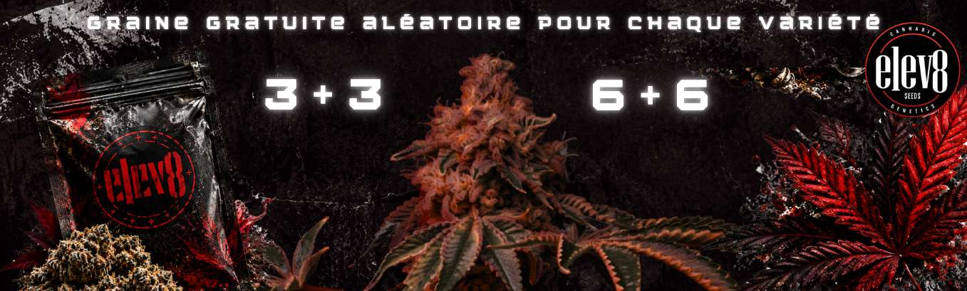 ELEV8 SEEDS PROMOTION DE GRAINES GRATUITES