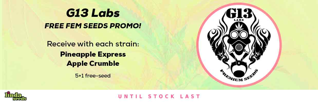 G13 LABS FREE SEEDS PROMOTION