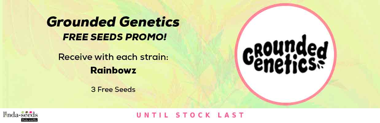 GROUNDED GENETICS FREE SEEDS PROMOTION