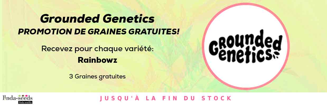 GROUNDED GENETICS PROMOTION DE GRAINES GRATUITES
