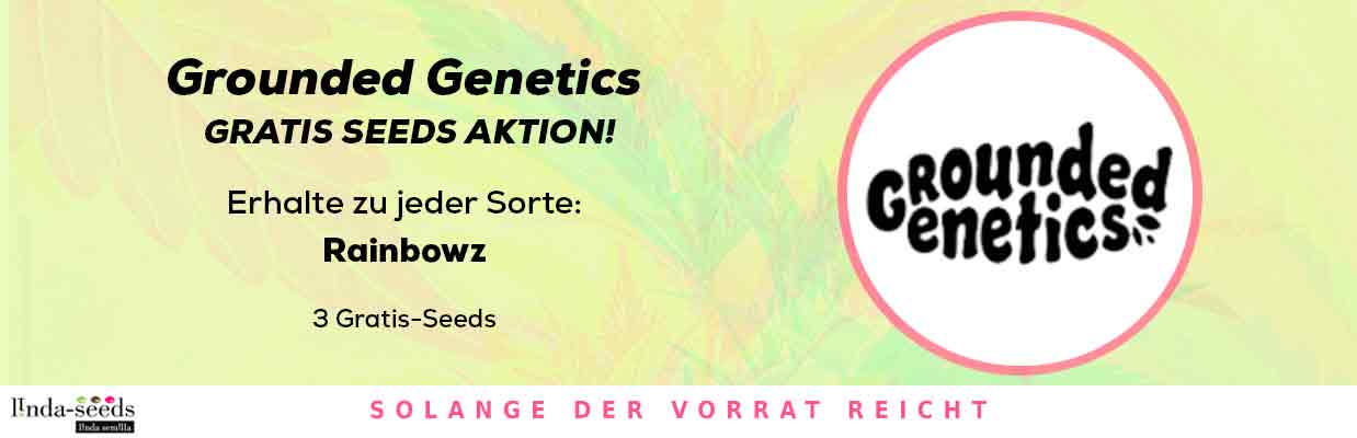 GROUNDED GENETICS GRATIS SAMEN AKTION