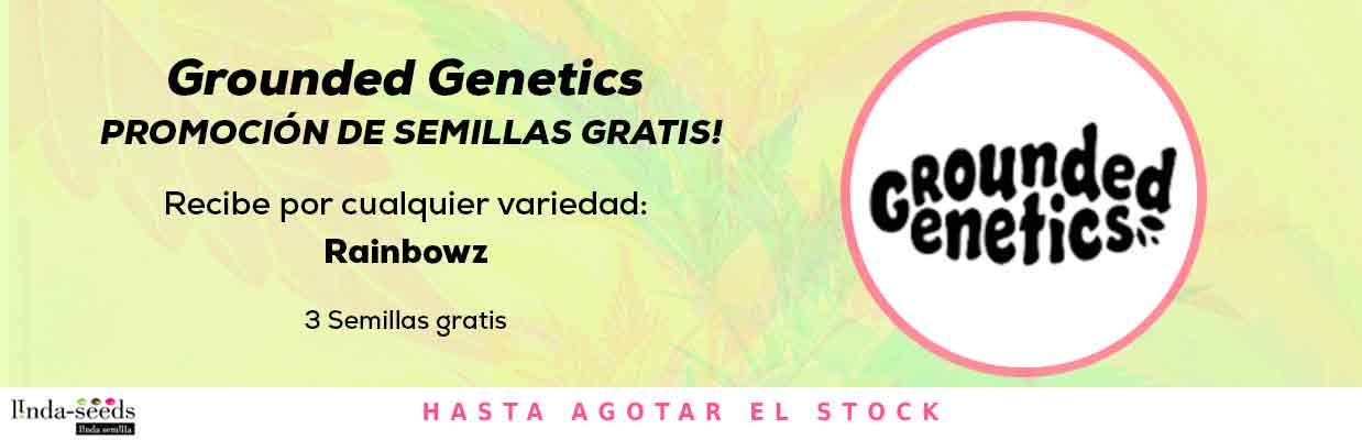 GROUNDED GENETICS PROMOCIÓN DE SEMILLAS GRATIS