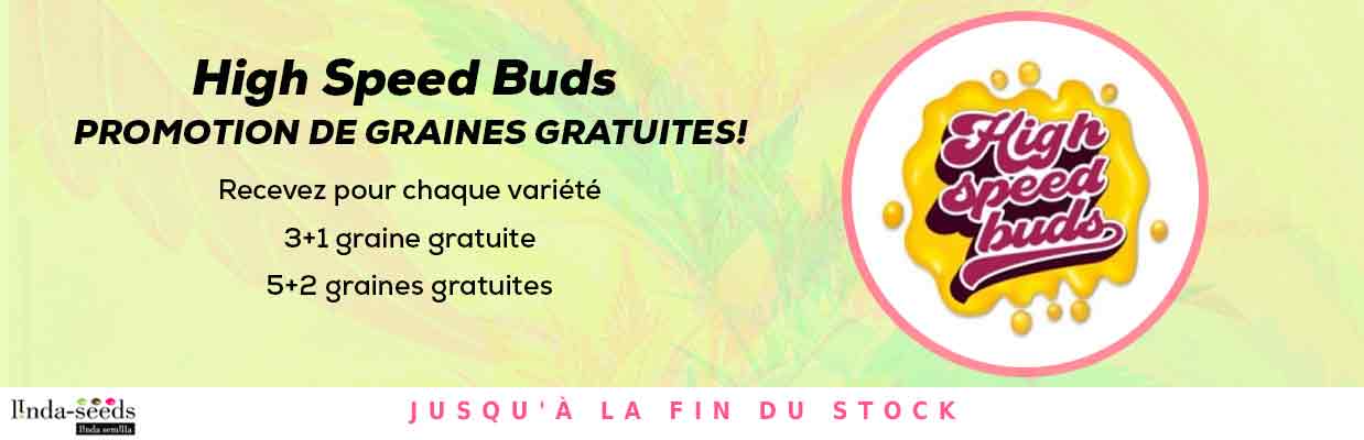 HIGH SPEED BUDS PROMOTION DE GRAINES GRATUITES