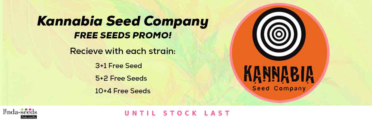 KANNABIA SEED COMPANY FREE SEEDS PROMOTION