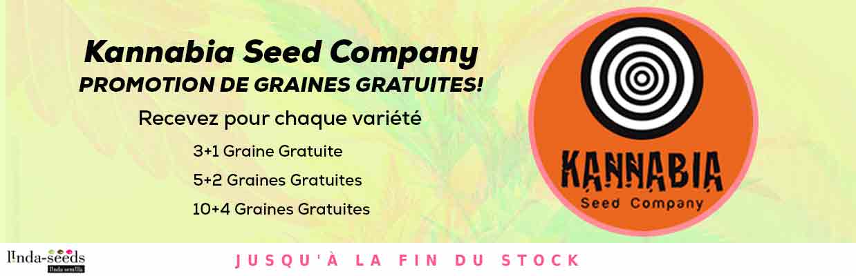 KANNABIA SEED COMPANY PROMOTION DE GRAINES GRATUITES