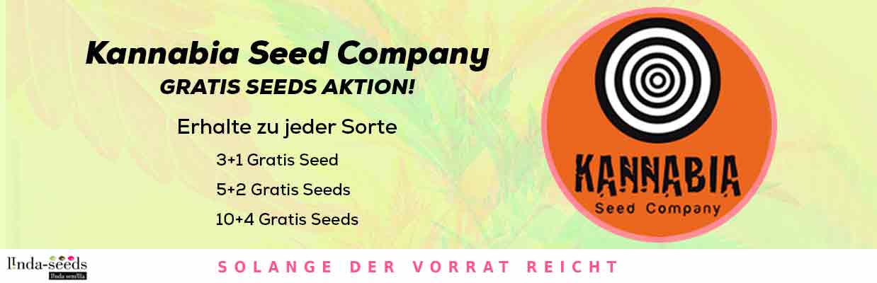 KANNABIA SEED COMPANY GRATIS SAMEN AKTION