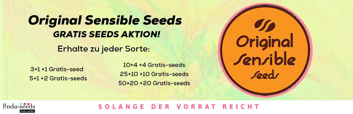 ORIGINAL SENSIBLE SEEDS GRATIS SAMEN AKTION