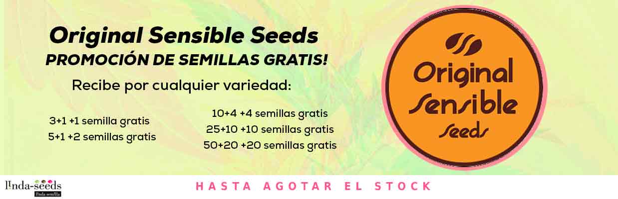 ORIGINAL SENSIBLE SEEDS PROMOCIÓN DE SEMILLAS GRATIS