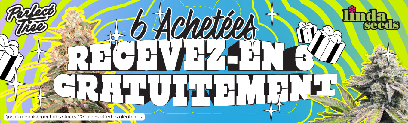 perfect tree PROMOTION DE GRAINES GRATUITES