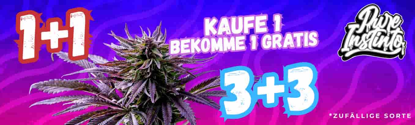 Pure Instinto Aktion: Kaufe 1 Pack, bekomme ein zweites dazu
