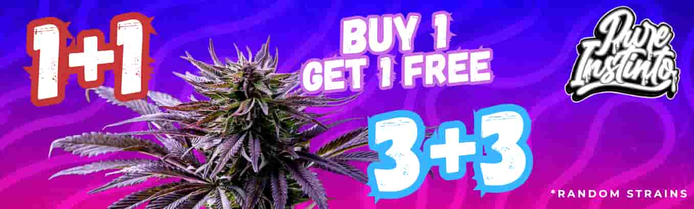 Pure Instinto Promotion: Buy 1 pack, get a second one free