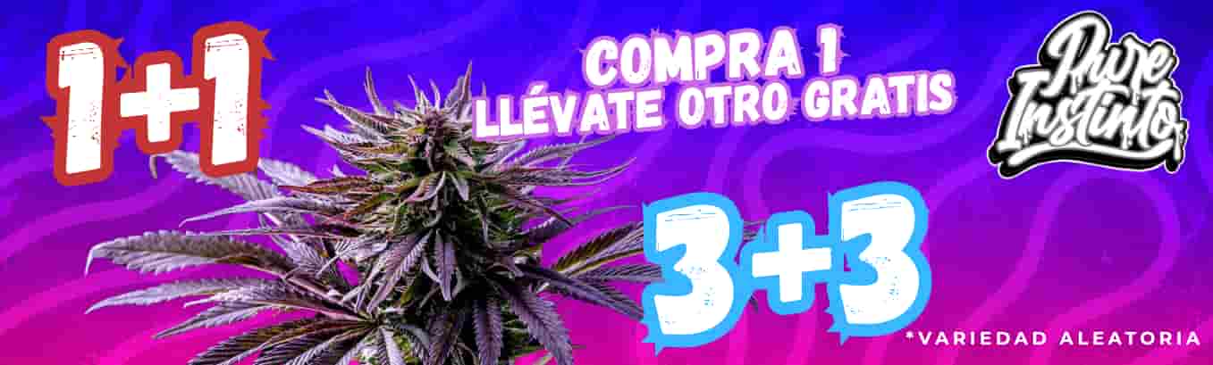 Promoción Pure Instinto: Compra 1 paquete y llévate otro gratis Promoción Pure Instinto: Compra 1 paquete y llévate otro gratis