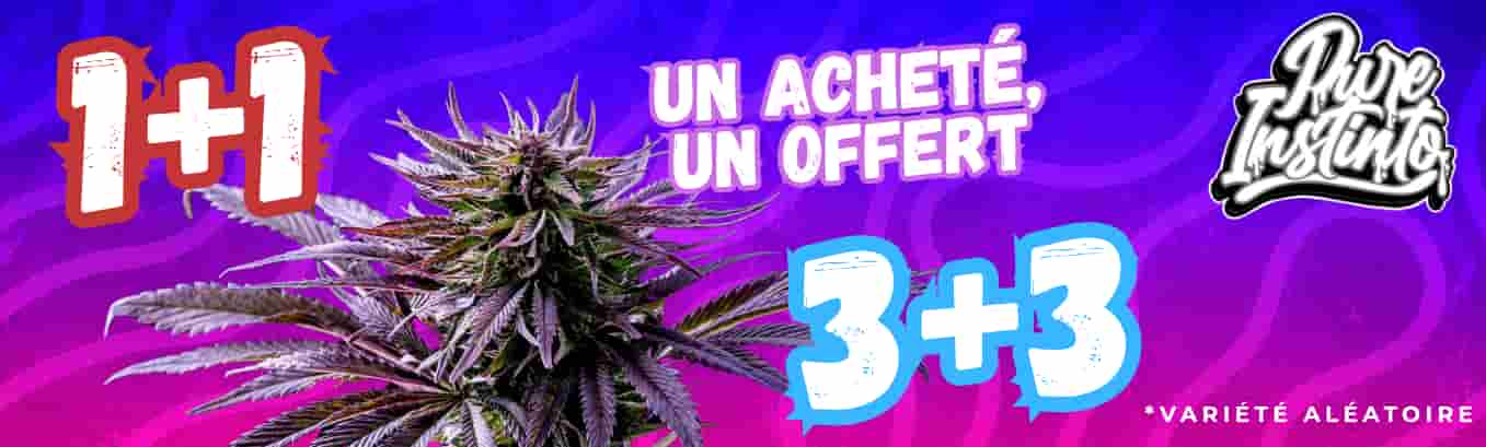 Offre Pure Instinto : achète 1 paquet, reçois-en un deuxième gratuit