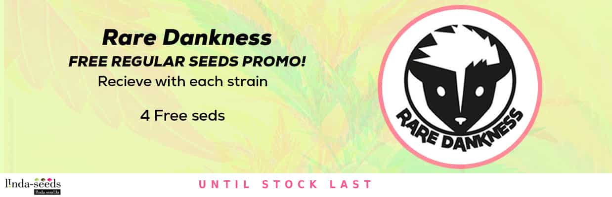 RARE DANKNESS SEEDS FREE SEEDS PROMOTION